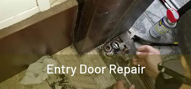 Entry Door Repair