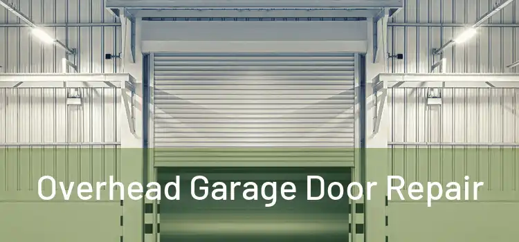  Overhead Garage Door Repair 
